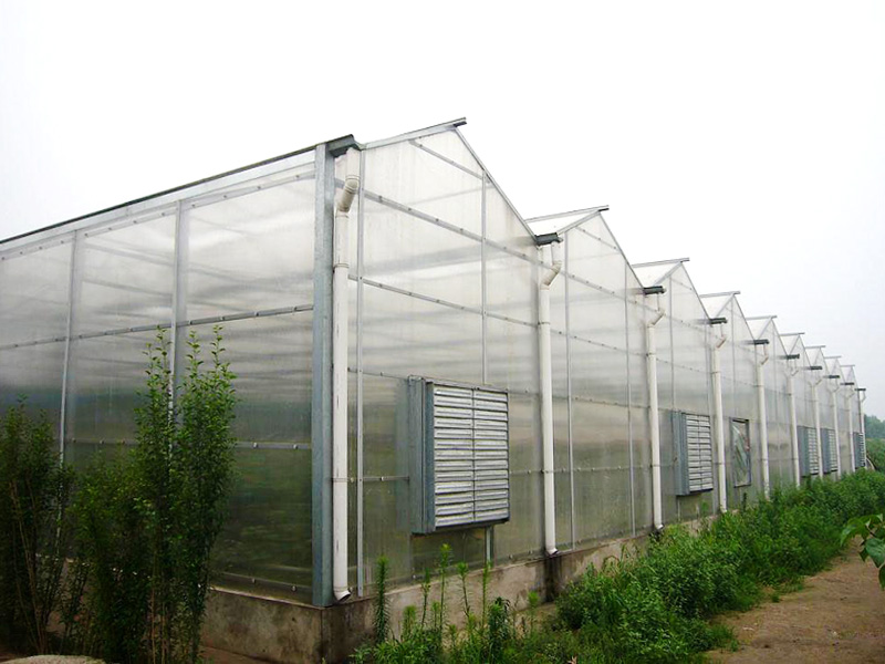 陽光板溫室