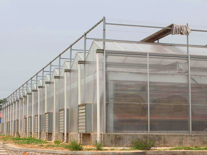 陽光板溫室