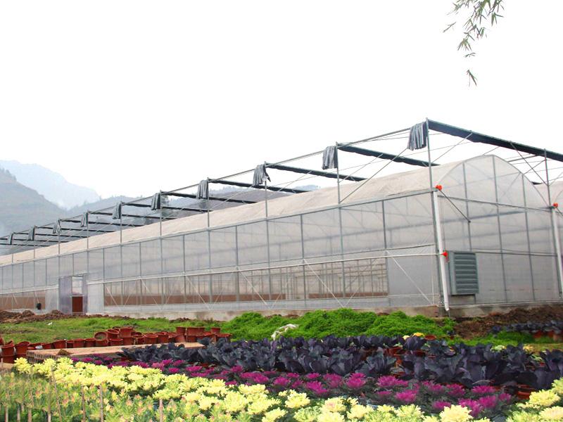 薄膜連棟溫室