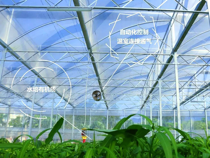 溫室大棚--未來農(nóng)業(yè)發(fā)展的主力軍