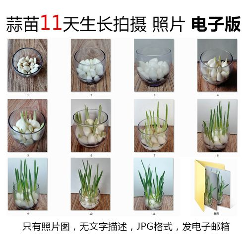圖片 4.png